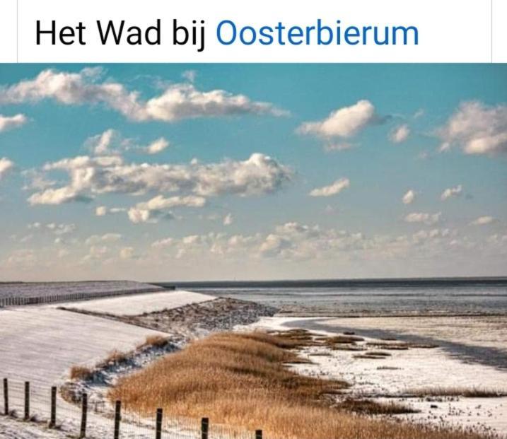 4-Persoons Vakantiehuisje Simmerwille Tzummarum Extérieur photo